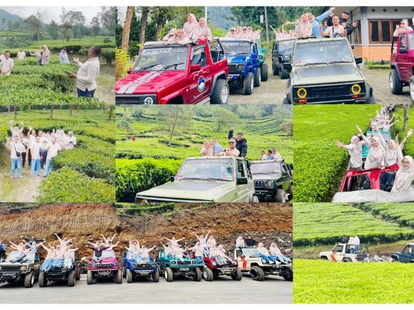 GTK MTs Negeri 1 Banjarnegara Nikmati Plantation dan Jeep Tour di Perkebunan Teh Tambi