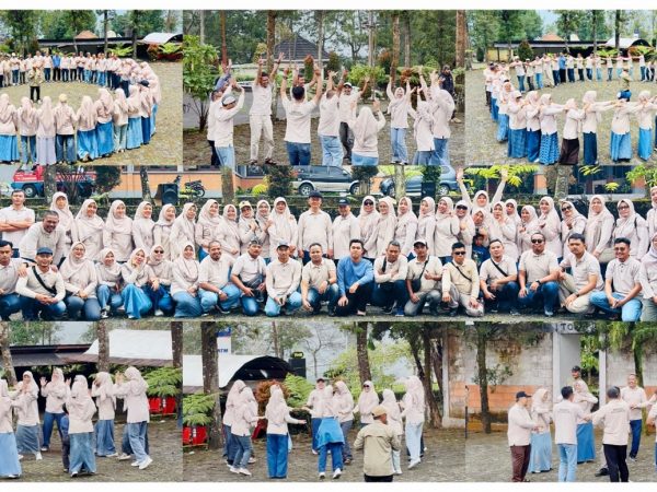 Seru dan Penuh Makna! Bersama Tambi Tea Resort GTK MTsN 1 Banjarnegara Pererat Kekompakan Lewat Fun Team Building